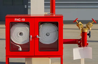 Fire Sprinkler System